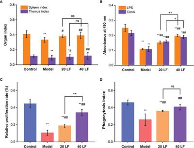 Effects of Fucoidan Isolated From Laminaria japonica on Immune Response and Gut Microbiota in Cyclophosphamide-Treated Mice